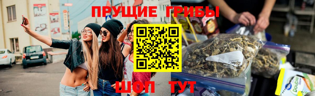 Камень-на-Оби  Псилоцибиновые грибы Psilocybine cubensis  Вход с VPN  Псилоцибиновые грибы мицелий 